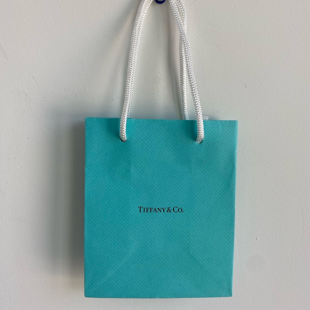 Tiffany & Co. Blue Gift Bag - Small
